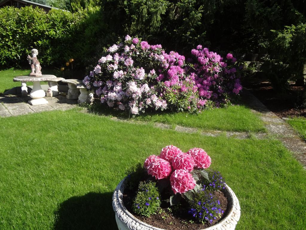 Gaestehaus Am Ahornweg Bernkastel-Kues Ruang foto